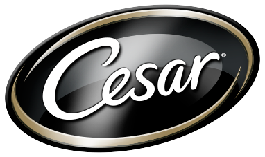 Cesar